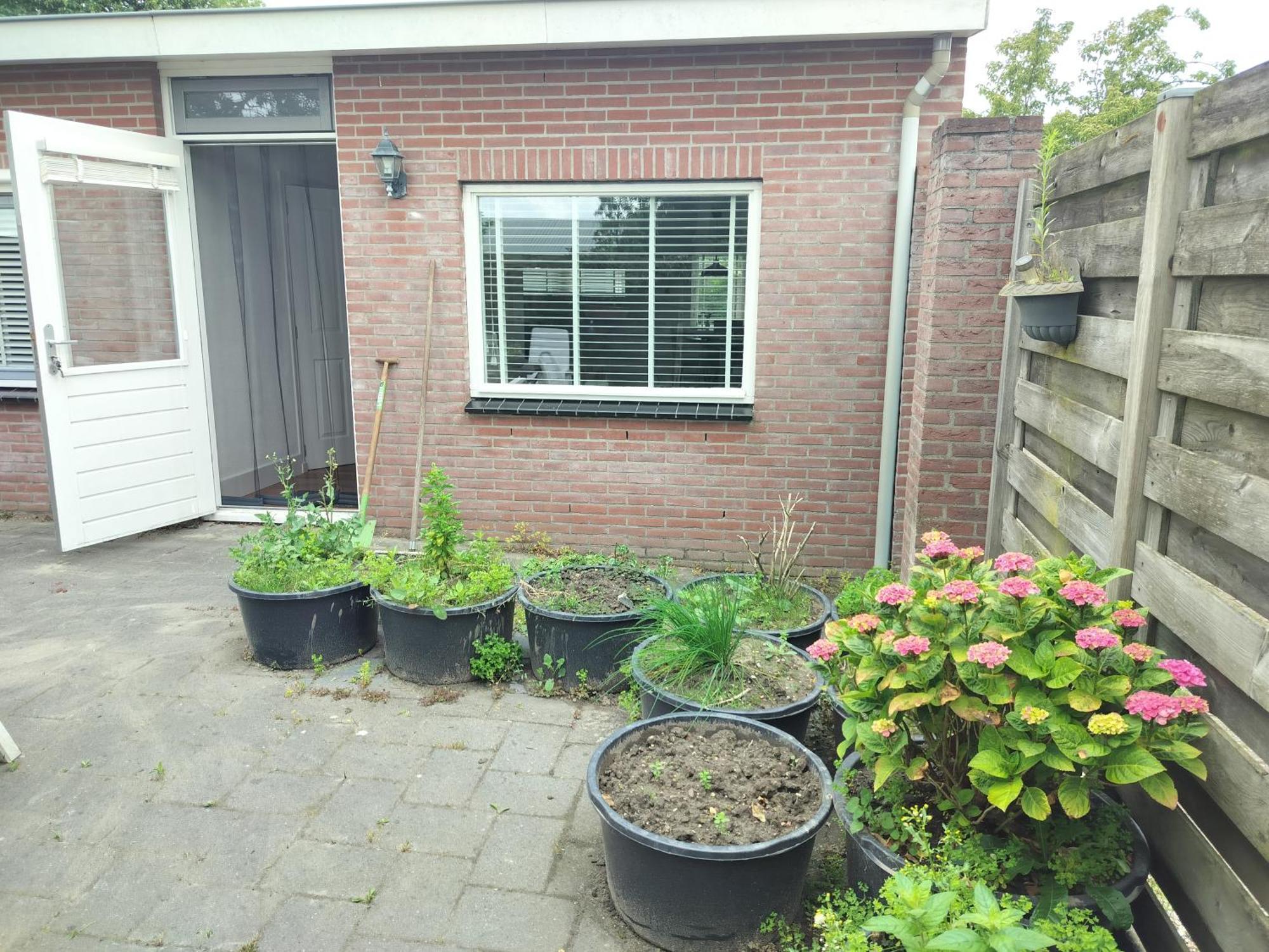 Solstice, Quiet Cottage In Bruinisse, Zeeland Exterior foto